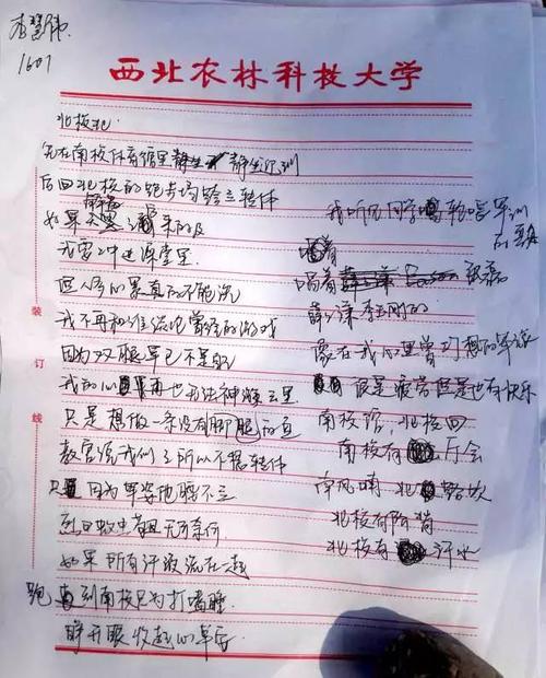 高中军事训练作文600字