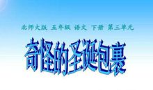 奇怪的圣诞包裹读后感