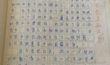 我最喜欢的体育明星作文