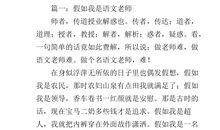 假如我是语文老师作文