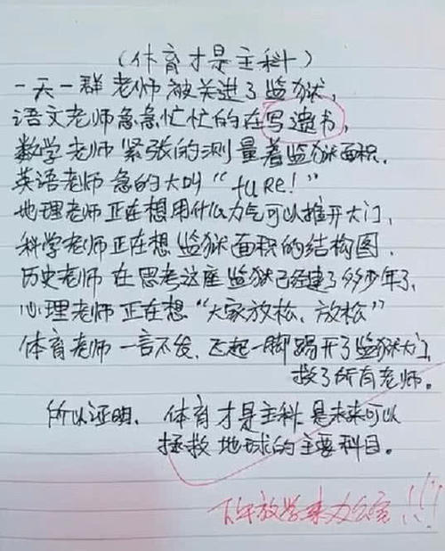 我的小宠物文章