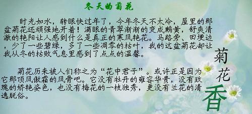 一首我喜欢400字的歌曲