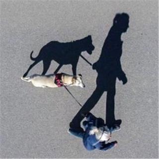 偷阴影的人读800字