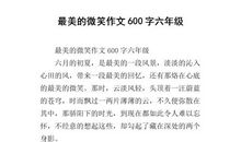 那抹微笑最美作文800字