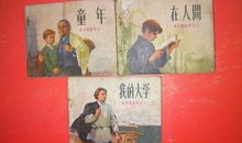 童年在人间我的大学读后感