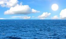 我爱大海作文200字