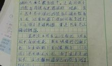 每天进步一点点读后感