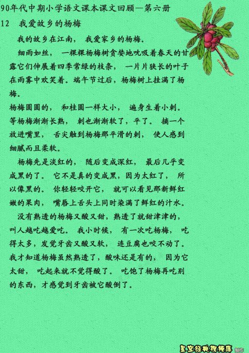 我爱自然作文300字