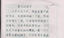 我的暑假作文300字