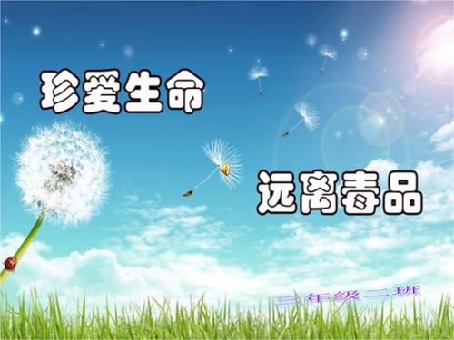 珍惜生命，远离毒品言论