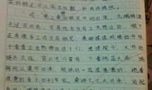 小学生六年级日记