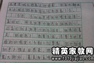 阅读后的童年感受