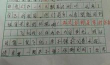 我眼中的祖国作文