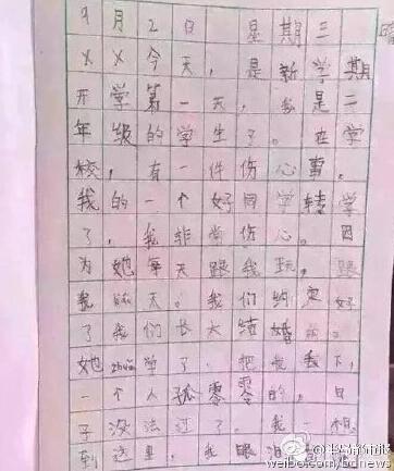 小学生日日记买年货