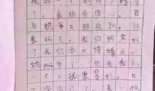 小学生日记买年货