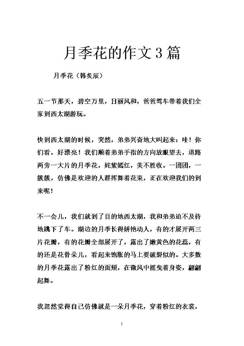 中国玫瑰作文400字