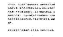 月季花作文400字