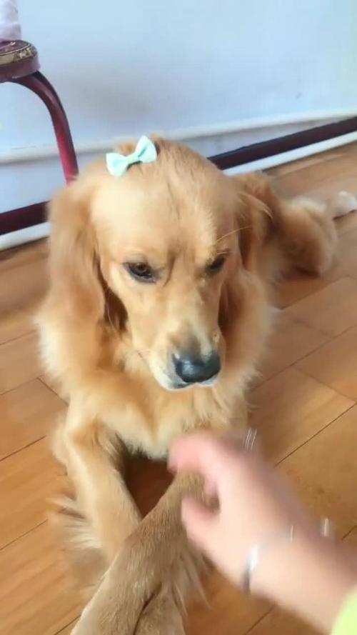 埃迪阅读后的金手指