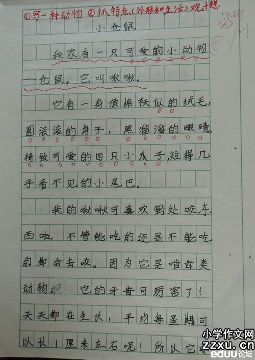 观察蜗牛的成分300个单词