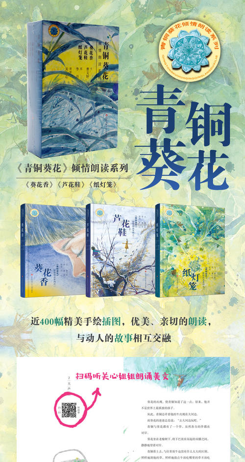 阅读后的青铜向日葵芦苇鞋