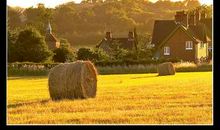 麦田里的守望者有感