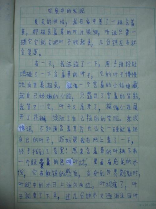 关于含羞草的成分