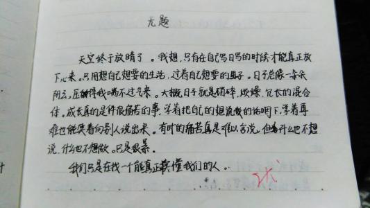 日记百科200字