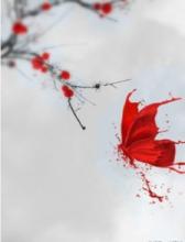 真的很伤心,不能流泪