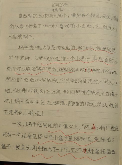 关于蜗牛的成分