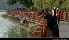 西湖漫步读后感