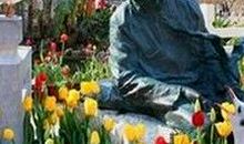 读老人与海鸥有感