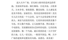 难忘的一次活动作文