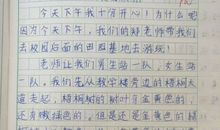 以收获为题作文650字