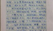 我的奶奶作文900字