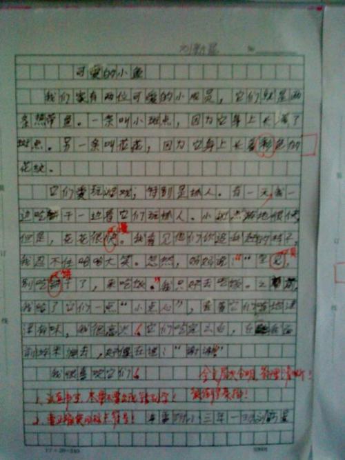 小学作文秋天在这里