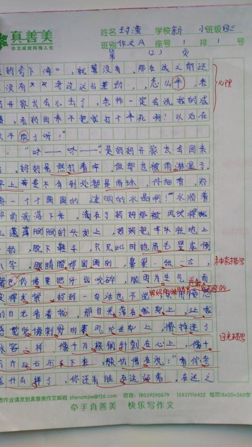 在那雨天的组成