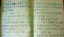 春节记事作文300字