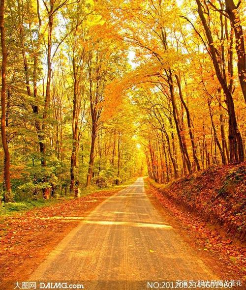 作文秋天在这里