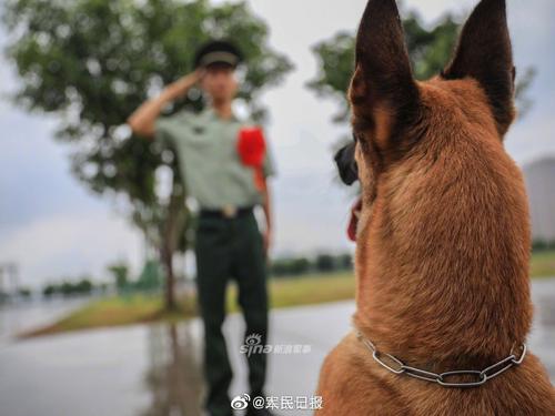 读了50个字之后的大悲剧