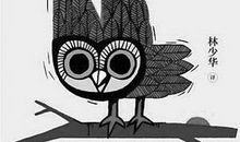 从黄昏起飞读后感