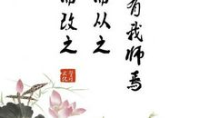 二人行必有我师