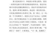 秋天的早晨作文300字