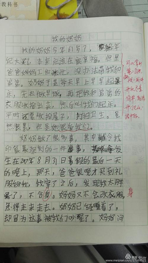 我奶奶二年级作文