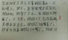 我的奶奶初二作文