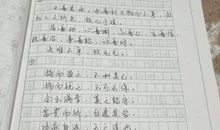 道德经的智慧读后感