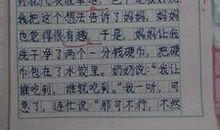 一件有趣的事作文300字