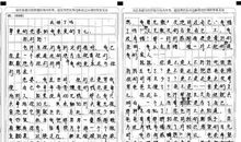 尝试作文800字