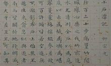 春节旅游作文100字