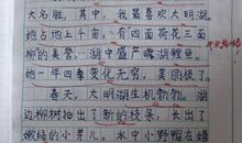 想象作文100字