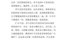 小学三年级观察作文